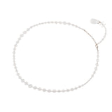 Rare Chanel Lucite Belt/Necklace